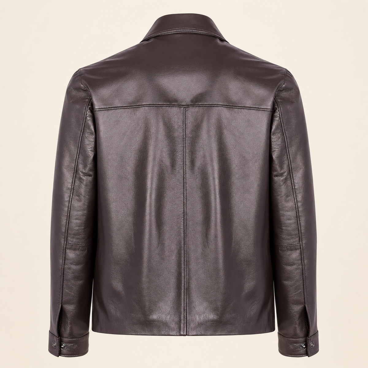 Chocolate Brown men's point-collar lambskin leather jacket, product back.